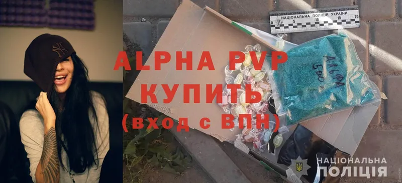 Alfa_PVP СК  Венёв 